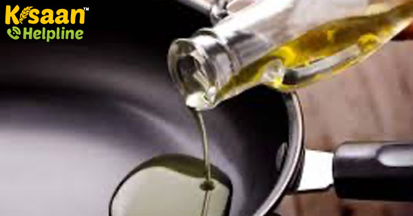 वनस्पति तेल का आयात जून में बढ़ा - मांग की संभावनाएं उज्ज्वल बनी हुई हैं वनस्पति तेल का आयात जून में बढ़ा - मांग की संभावनाएं उज्ज्वल बनी हुई हैं